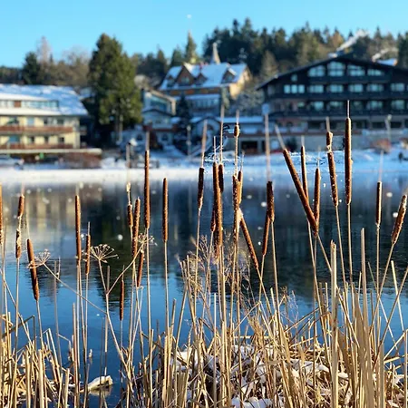 Harzfewo Koehnke 3 Appartement Goslar